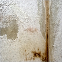 장흥 주택 아파트 공장 결로검사 결로공사 시공업체-6106668