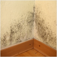 장흥 주택 아파트 공장 결로검사 결로공사 시공업체-6106664